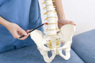 Здоровый позвоночник